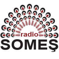 51935_Radio SOMES.png